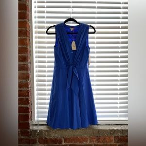 Royal Blue Daniel Cremieux Dress